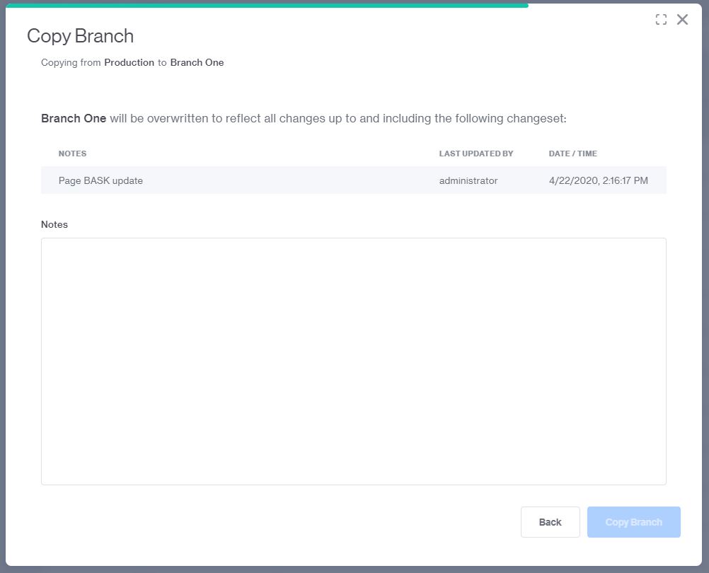 Copy Branch Step 3
